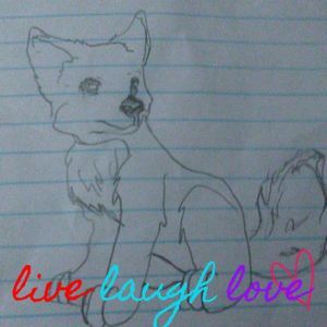 Meet your Posher, Jaylynn